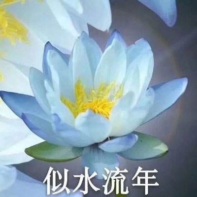 青海发布一批干部任前公示